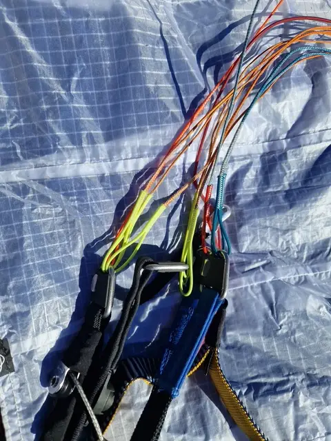 Advance Sigma DLS 1
