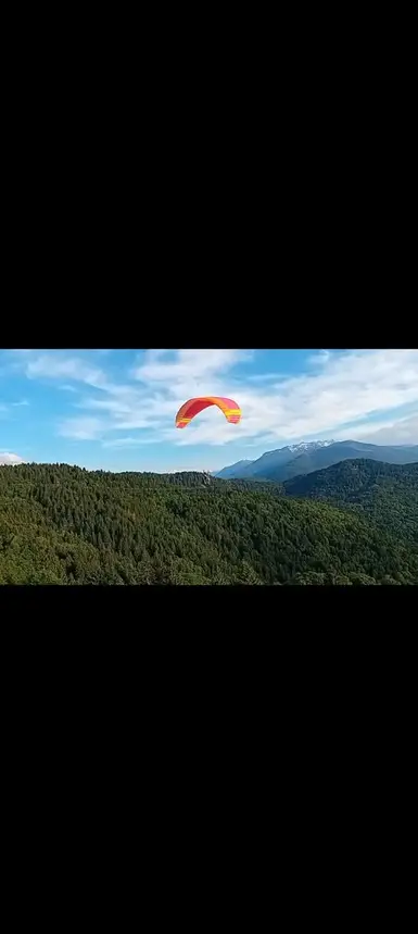Nova Prion 5