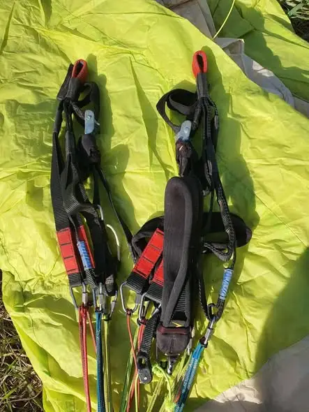 Swing Twin Rs 2