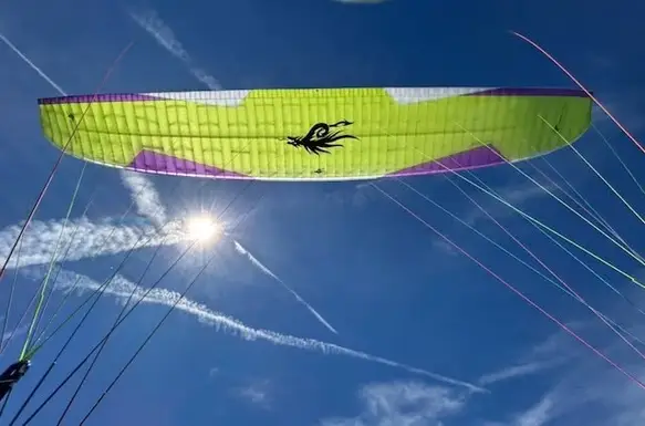 Profly Leeloo 1