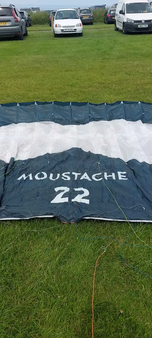 Goflare Moustache 1