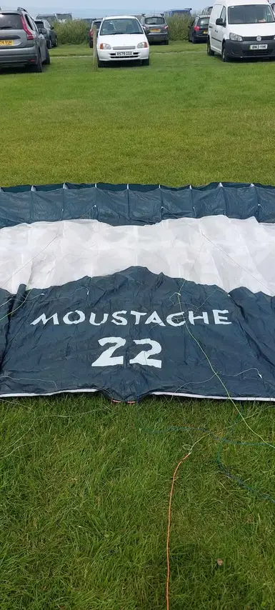 Goflare Moustache 1