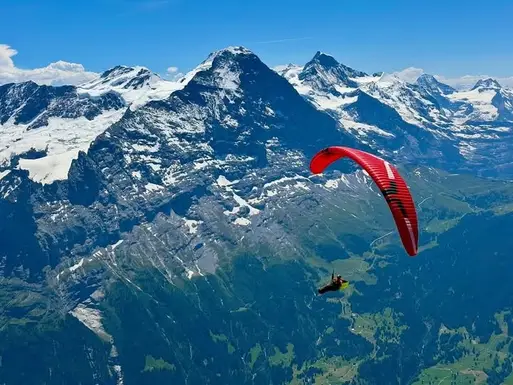 Ozone Zeolite 2 GT
