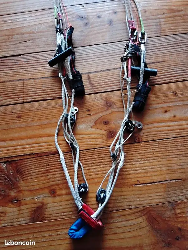 Gin Puma