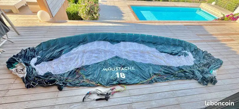 Goflare Moustache 2